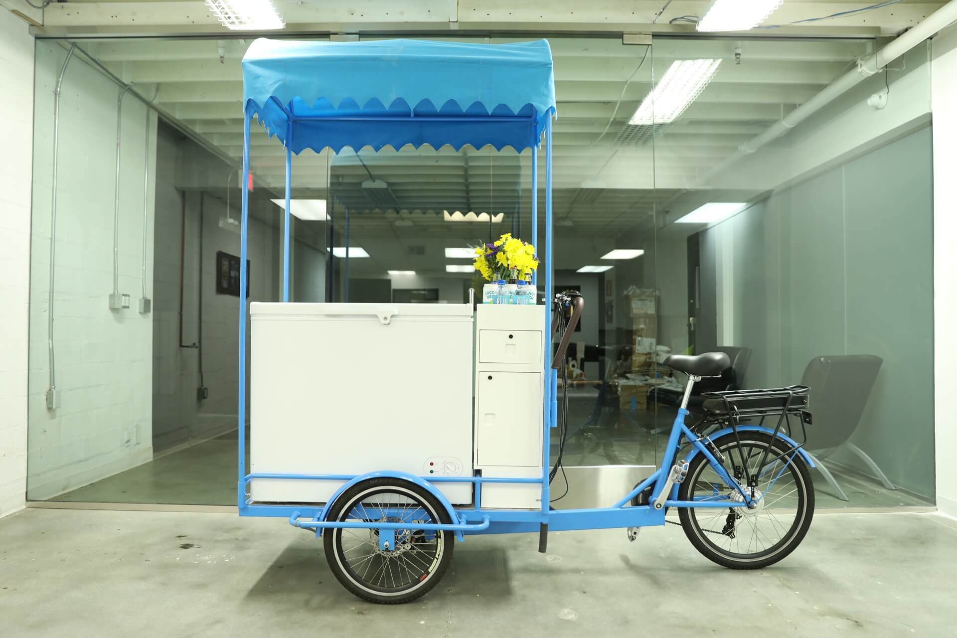 ice cream tricycle price